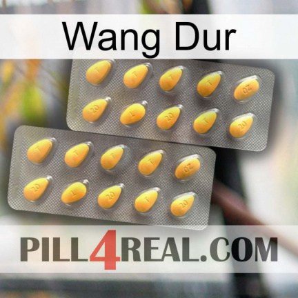 Hard Wang cialis2